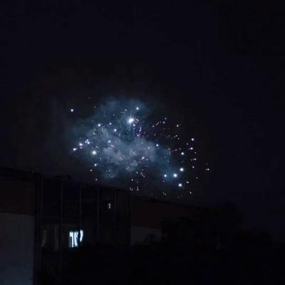 bbv体育官网入口